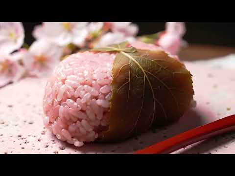 Japan Airlines transforms in-flight entertainment with Google's latest GenAI models - Jellyfish