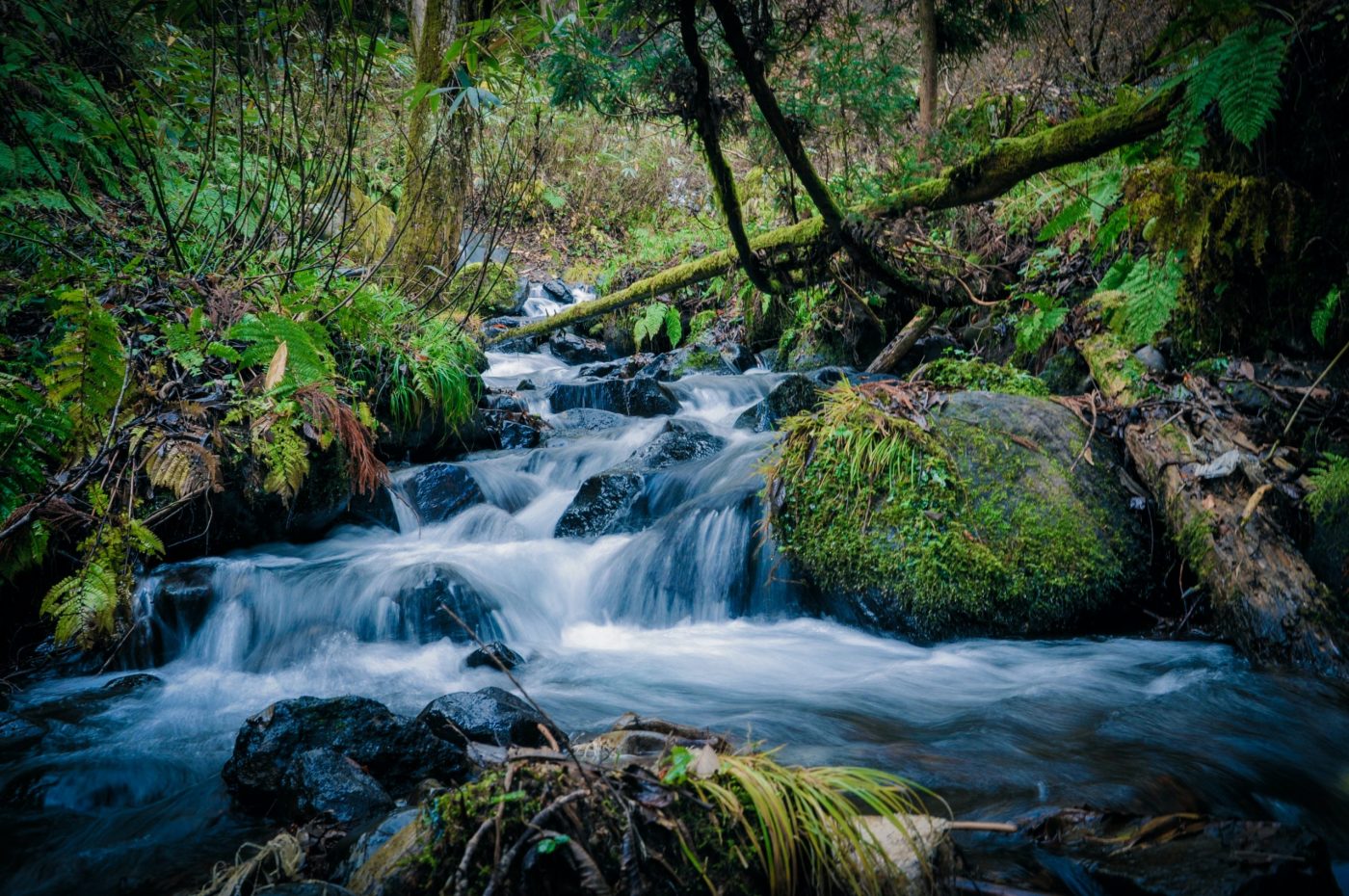 Microsoft reabastecerá más agua de la que consume para el 2030