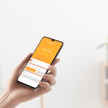 Mi Smart Space Heater S_016