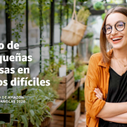 Impacto de Amazon en las Pymes Españolas 2020