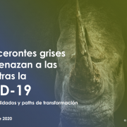 Los rinocerontes grises que amenazan a las telecos tras la COVID-19