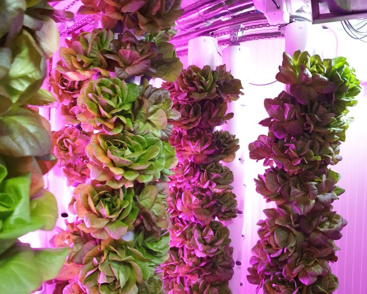 Telefónica - Vertical Green