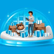 2020 Holiday Shopping Report