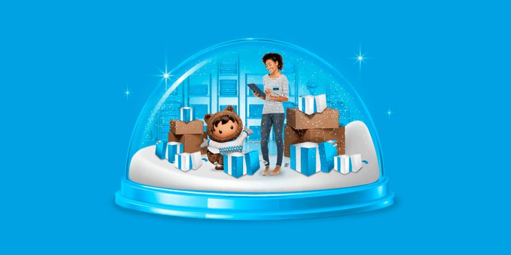 2020 Holiday Shopping Report