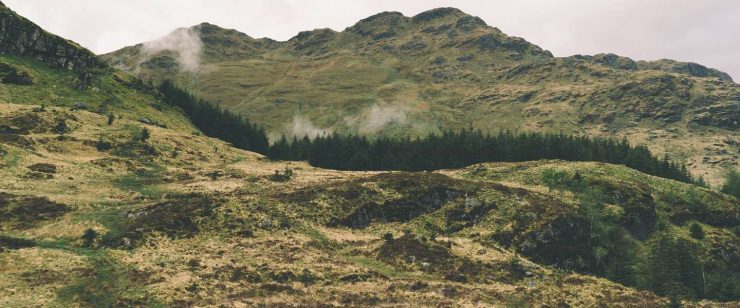 Ya son cinco los proyectos españoles de Inteligencia Artificial premiados por Microsoft para la mejora de la sostenibilidad y el medioambiente