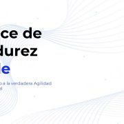 Índice de Madurez Agile