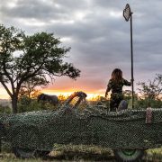 Wildlife Watch de Samsung convierte a los usuarios en guardabosques virtuales