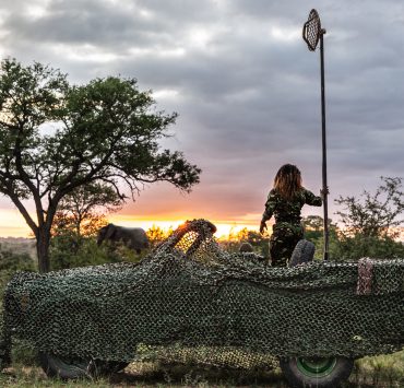 Wildlife Watch de Samsung convierte a los usuarios en guardabosques virtuales