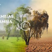 Sello Ecosmart Telefónica Empresas