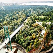 Cisco Foundation destina 100 millones de dólares a afrontar la crisis climática