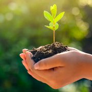 Oracle Día de la Tierra