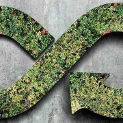 Call for innovation MIDE en Economía Circular