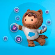 Salesforce Digital 360 for Industries