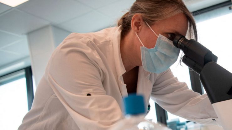 Oracle Universidad de Oxford