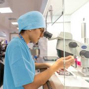 Instituto de Investigación de Inteligencia Artificial del CSIC