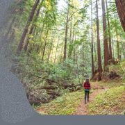 Oracle Energía Renovable