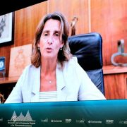 AMETIC - Teresa Ribera