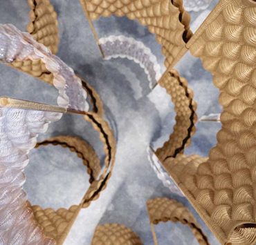 Design for life: Aurora