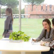 Manifiesto sobre el futuro de la Educación Superior en España.