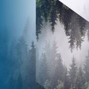 40 aniversario de Dassault Systèmes