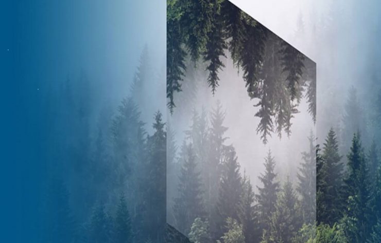 40 aniversario de Dassault Systèmes