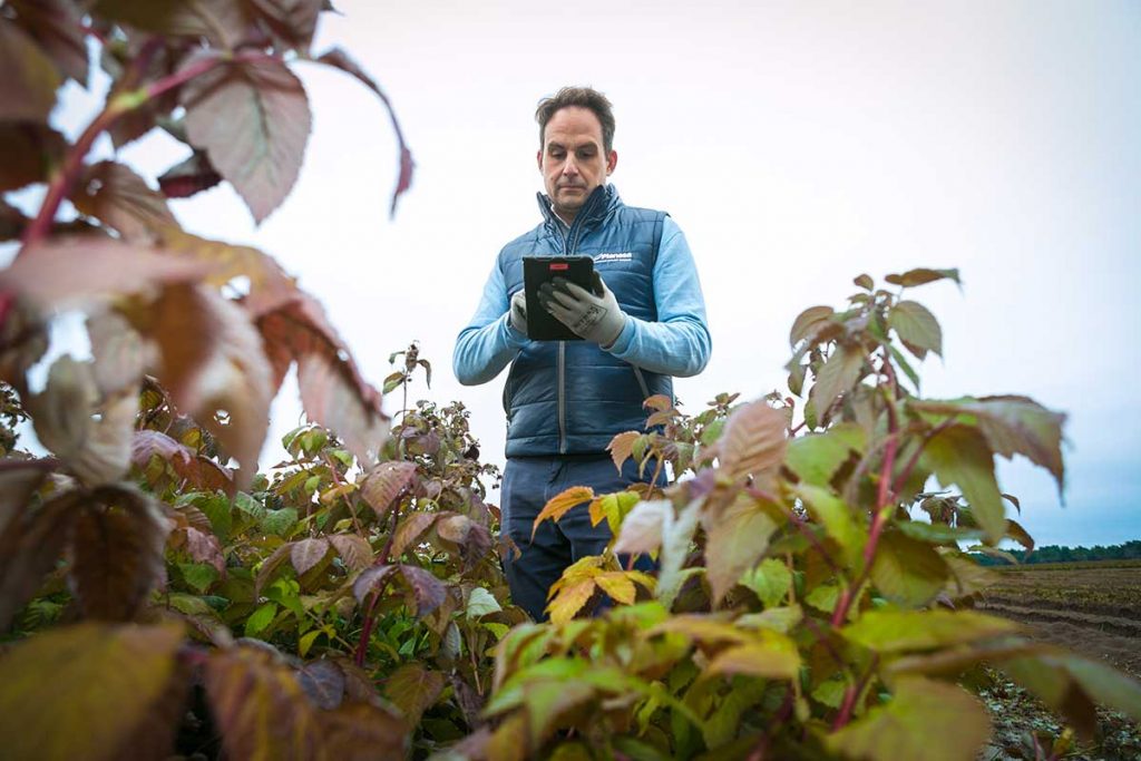 La digitalización del sector agroalimentario mejora la eficacia de sus procesos y la productividad 6 Planasa digitalización sector agroalimentario