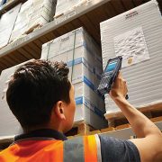 Zebra Warehousing Vision Study