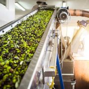 Industria agroalimentaria