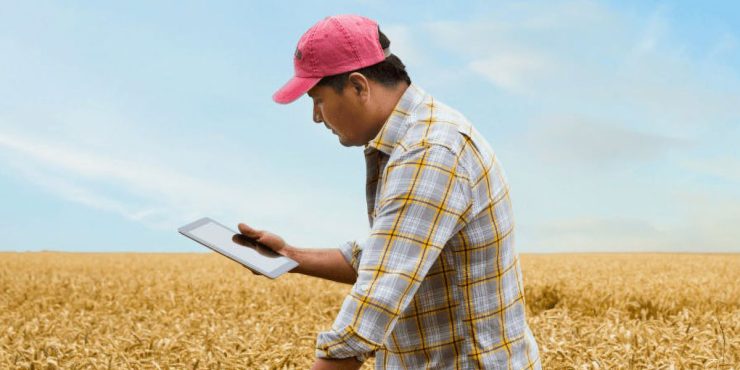 IBM Sustainability Accelerator