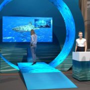 Oceanogràfic de Valencia