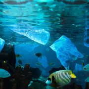 Oracle Cloud Infrastructure