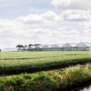 Juntos en la lucha contra el cáncer - Cisco