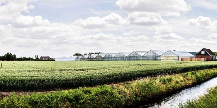 Juntos en la lucha contra el cáncer - Cisco