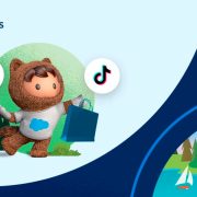 Salesforce Commerce TikTok