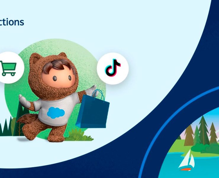 Salesforce Commerce TikTok