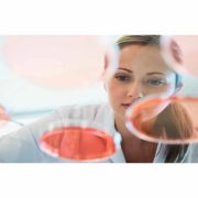 investigacion persona