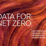 Datos para alcanzar las cero emisiones netas: Por qué los datos son la clave para reducir la brecha entre la ambición de las cero emisiones netas y la acción