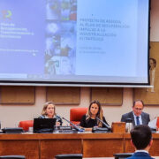 Adenda al Plan de Recuperación, Transformación y Resiliencia.