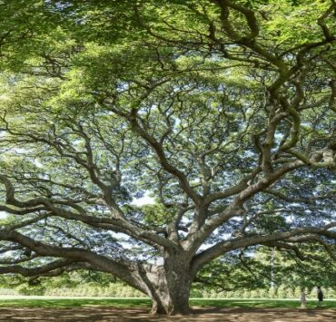 20221229 Atos de nuevo seleccionada en el Dow Jones Sustainability Index DJSI World y Europe 2022