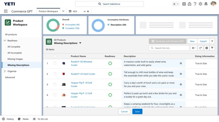 Dynamic Product Descriptions 1
