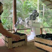 amazonas robot