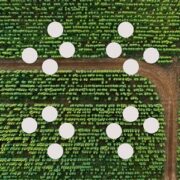 Carbon Calculator Banner