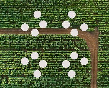 Carbon Calculator Banner