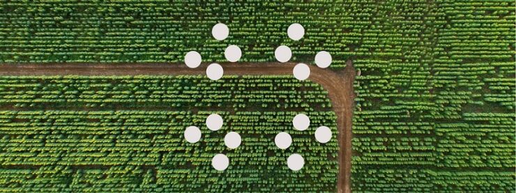 Carbon Calculator Banner