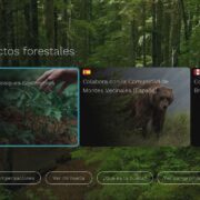Living App Compensa tu huella 2