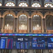 Bolsa de Madrid LG 002