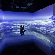 Centro de divulgación oficial de la Copa América