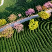 NP Eviden lanza EcoDesignCloud