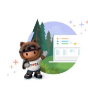 Power of Data salesforce