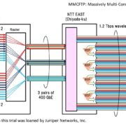 figura prueba de campo